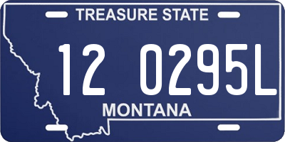 MT license plate 120295L