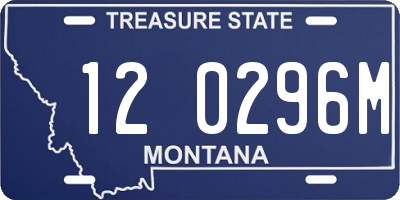 MT license plate 120296M