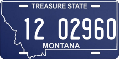 MT license plate 120296O