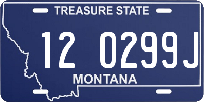 MT license plate 120299J