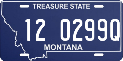 MT license plate 120299Q