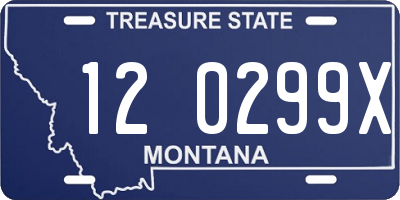 MT license plate 120299X