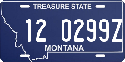 MT license plate 120299Z