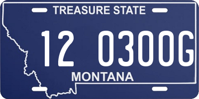 MT license plate 120300G