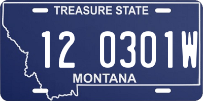 MT license plate 120301W