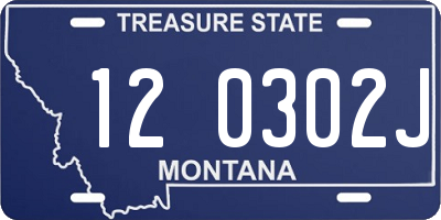 MT license plate 120302J
