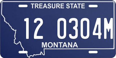 MT license plate 120304M