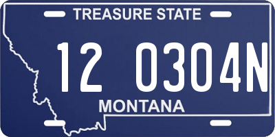 MT license plate 120304N