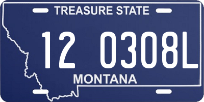 MT license plate 120308L
