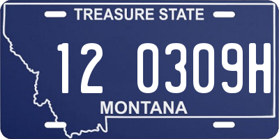 MT license plate 120309H