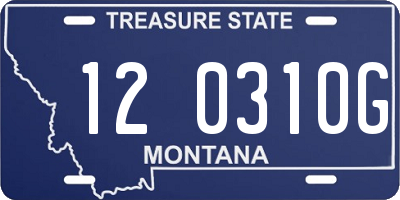 MT license plate 120310G