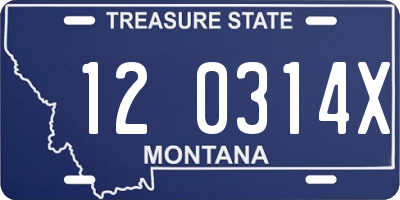 MT license plate 120314X