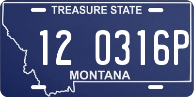 MT license plate 120316P