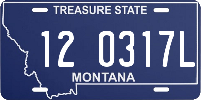 MT license plate 120317L
