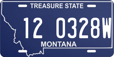 MT license plate 120328W