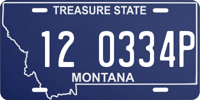 MT license plate 120334P