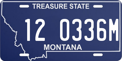 MT license plate 120336M