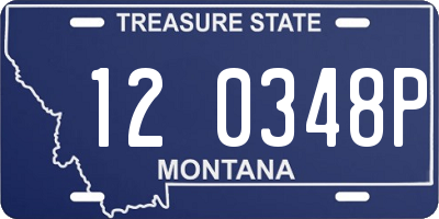MT license plate 120348P