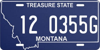 MT license plate 120355G
