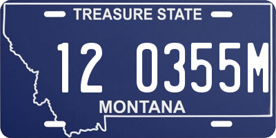 MT license plate 120355M