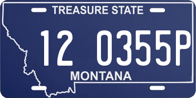 MT license plate 120355P