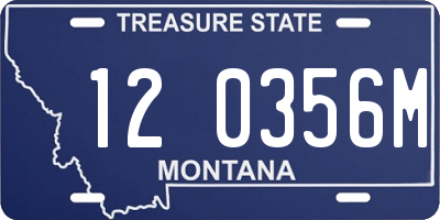 MT license plate 120356M