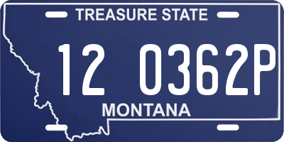 MT license plate 120362P