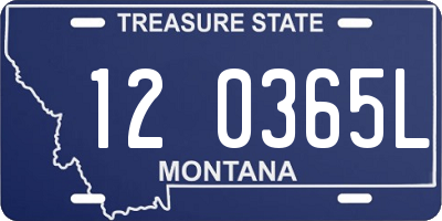 MT license plate 120365L