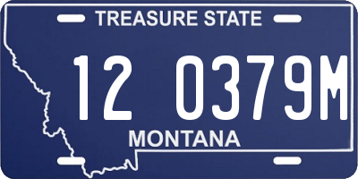 MT license plate 120379M