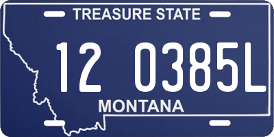 MT license plate 120385L