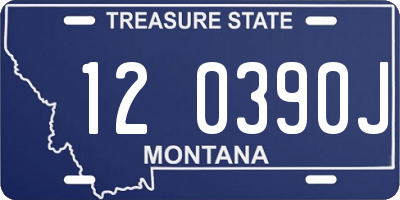MT license plate 120390J