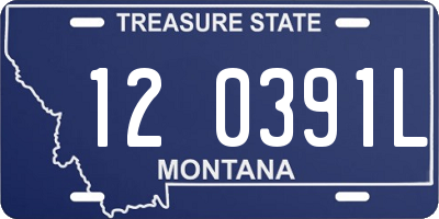 MT license plate 120391L