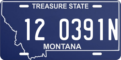 MT license plate 120391N