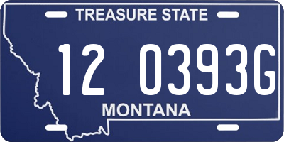 MT license plate 120393G