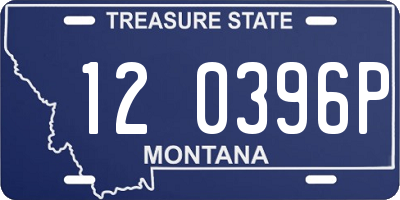 MT license plate 120396P