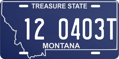 MT license plate 120403T
