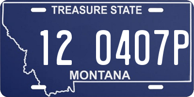 MT license plate 120407P