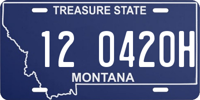 MT license plate 120420H