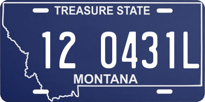 MT license plate 120431L