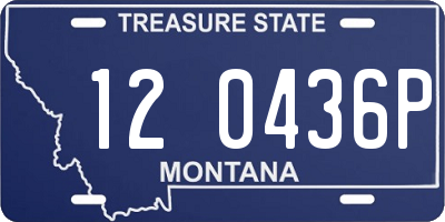MT license plate 120436P