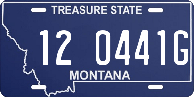 MT license plate 120441G