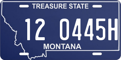 MT license plate 120445H