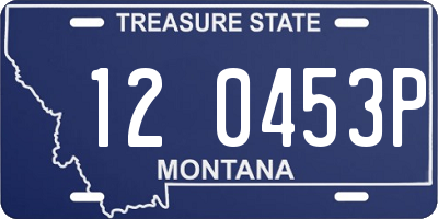 MT license plate 120453P