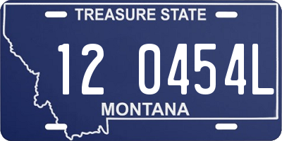 MT license plate 120454L