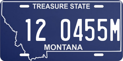 MT license plate 120455M