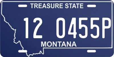MT license plate 120455P