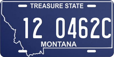 MT license plate 120462C