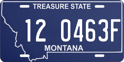 MT license plate 120463F