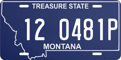 MT license plate 120481P