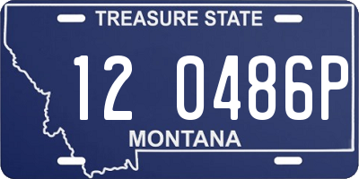 MT license plate 120486P